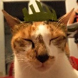 hoàng thượng bố na9