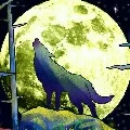 tác giả - yuma kun