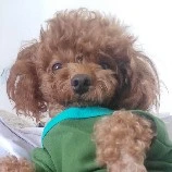 Na-Tác Giả
