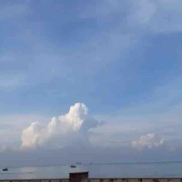 Nhân vật phụ (mọi người)