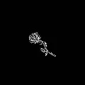 Suxu.Dirツ