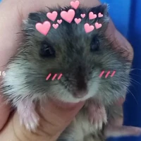 Nuuuu