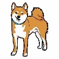 Inu