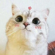 tác giả(nhân vật phụ)