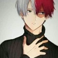 todoroki ( công )