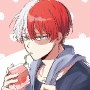 Shouto Todoroki