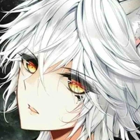 Hijima Mamoru-anh trai nữ9