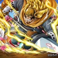 Vinsmoke Judge