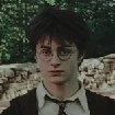 harry