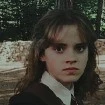 hermion