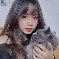 Hà Sư Tử
