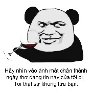 tác giả đây
