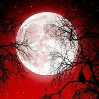 ♛💄Nhân Vật Nam-Nữ Phụ Tổng Hợp💄