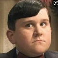 Dudley Dursley