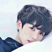 Điền Chính Quốc