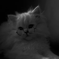 Masa ( mèo nhà Nobi )