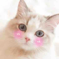 Tiểu miêu (Bạch Diệc)- hệ thống.