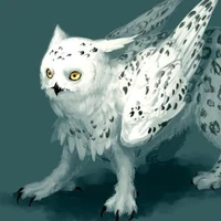 Pompon