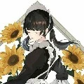Sera