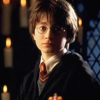 Hary Potter Blankeheim