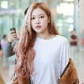 Park Rose