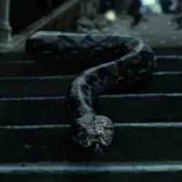 Nagini ( Nanase ) 