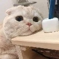 Tác giả nè heeeeee