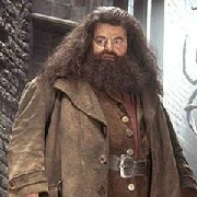 Rubeus Hagrid