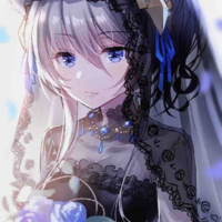 Kuma Lilie