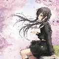 Donichisa