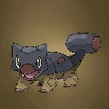 Rockvo(Itaka)