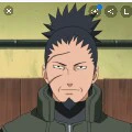Nara Shikaku