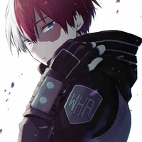 Shoto Todoroki
