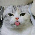 Miu người viết H