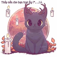 Mèo hồ ly