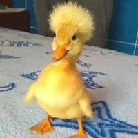 con trợ lý mặn hơn muối biển