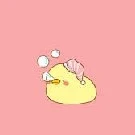 Vịt đang ngủ(tác giả)