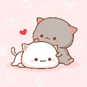 Tác giả cute phô mai que