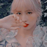 MOMO
