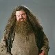 Rubeus Hagrid