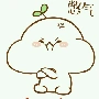 Gấu