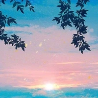 Mọi người (Tổng hợp)