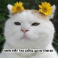 tác giả