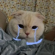 Mye_tác giả