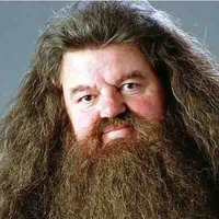 Rubeus Hagrid