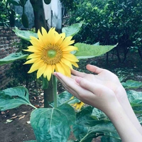 Cả lớp A2