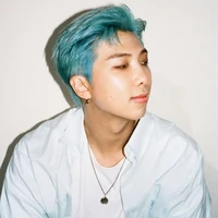 Kim Namjoon ( RM )