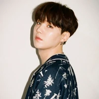 Min Yoongi ( Suga )