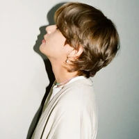 Kim Taehyung ( V )