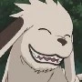 Akamaru